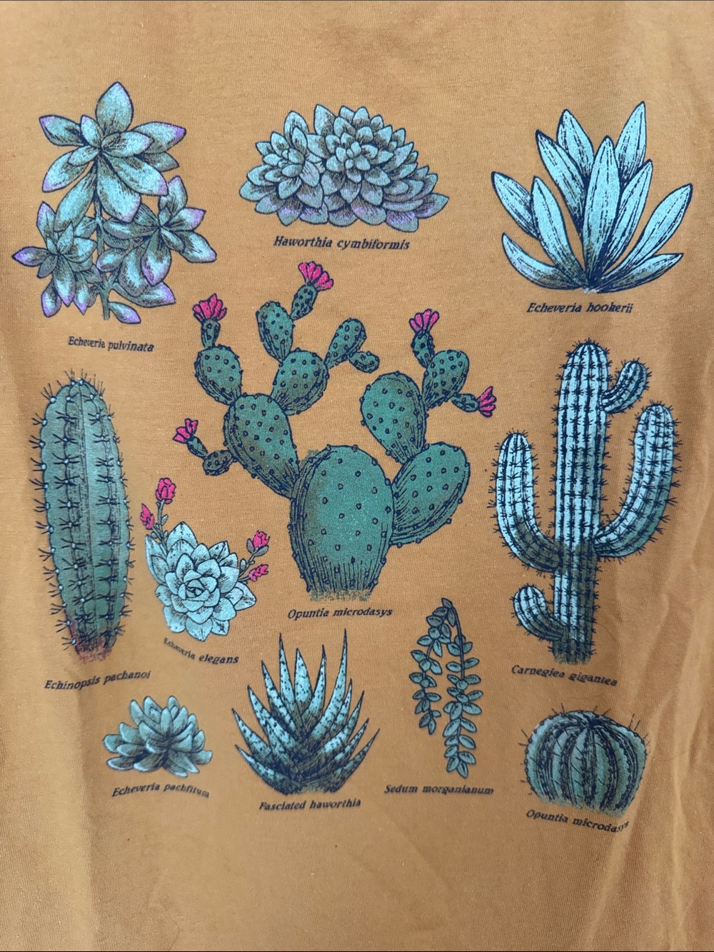 Fifth Sun Mustard Yellow Cactus Graphic T-Shirt Succulent Desert Botanical Tee L - Picture 4 of 8